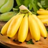 Chuối cau chín, an toàn, trồng tự nhiên